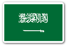 saudi arabia email database